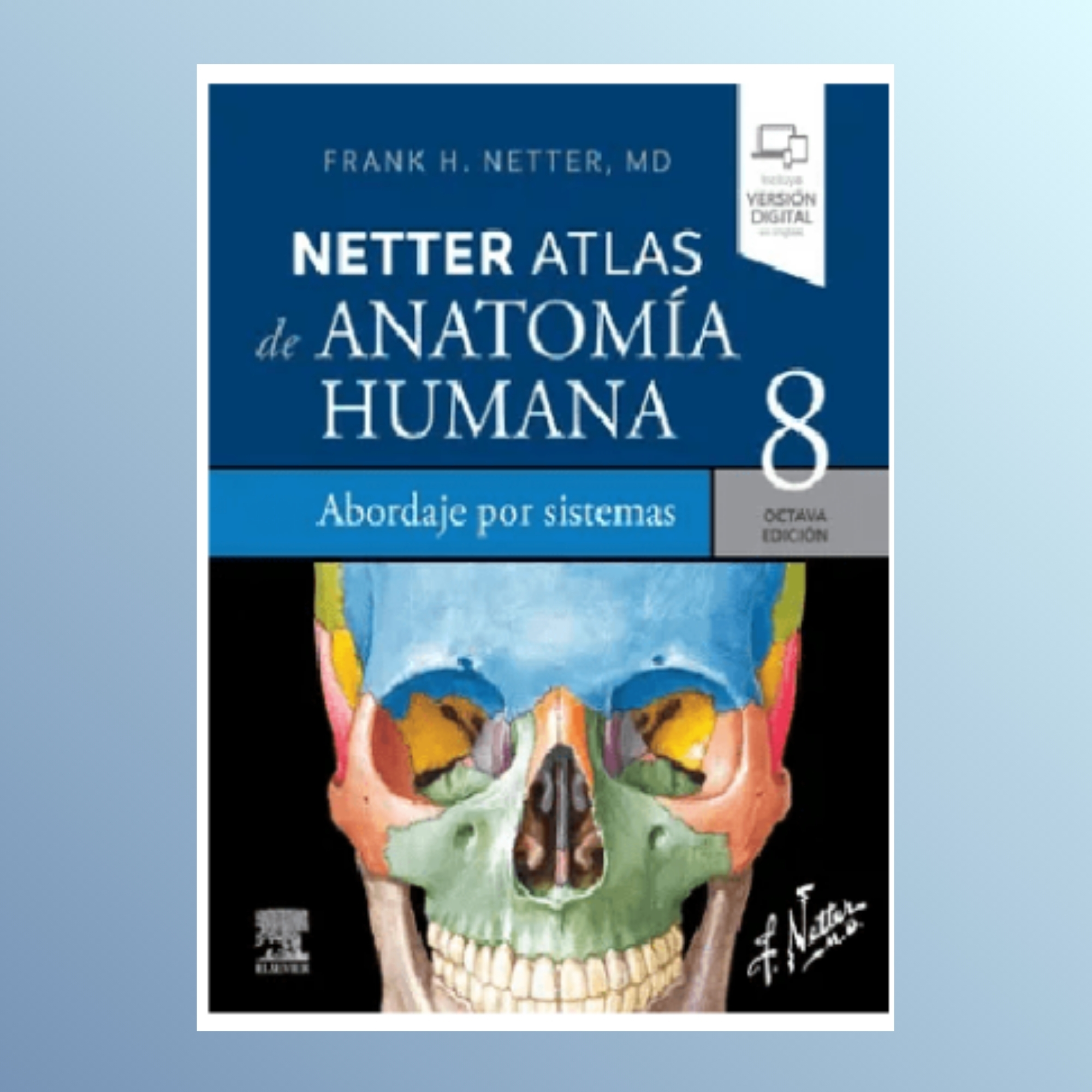 Netter: Atlas de Anatomía Humana